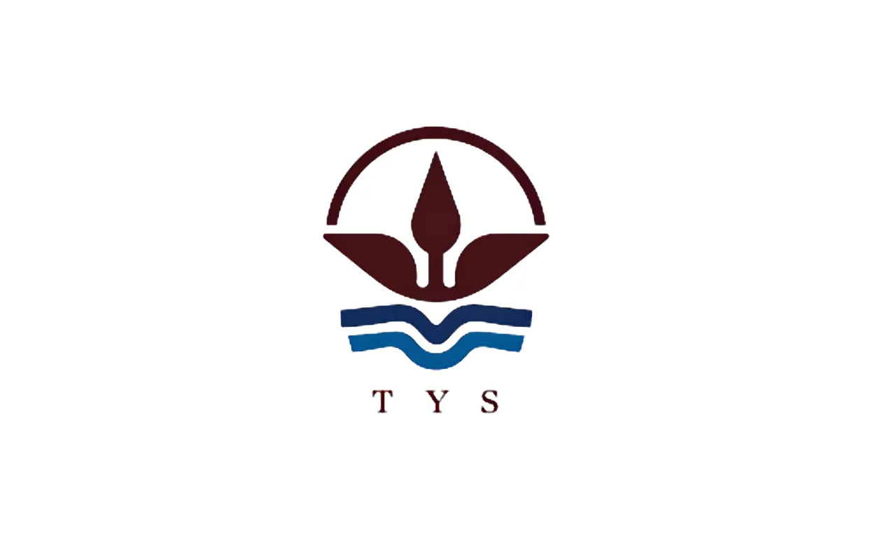 Website Development for TYS University